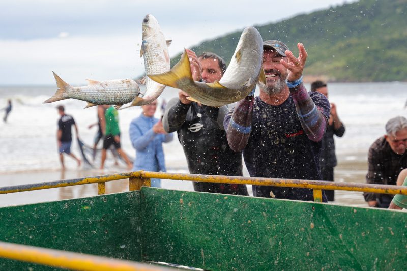 Lan&ccedil;o de Tainha na Barra da Lagoa, em Florian&oacute;polis – Foto: Roberto Zacarias/SECOM/ND