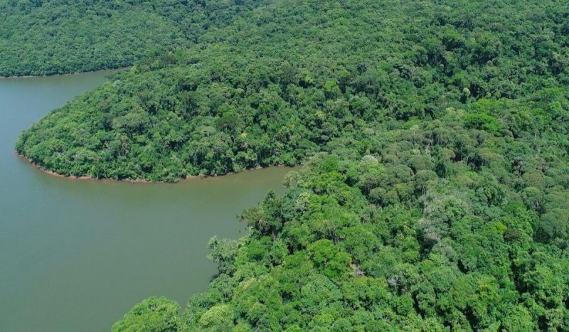 cidades de SC perdem Mata Atlântica nativa em 3 décadas