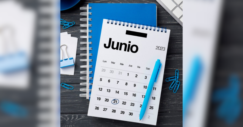 A astróloga revelou os melhores dias para comprar bilhete de loteria