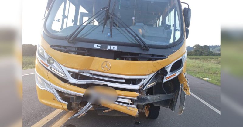 Entre os 31 alunos, ningu&eacute;m se feriu – Foto: Bombeiros Volunt&aacute;rios de Jaguaruna/Reprodu&ccedil;&atilde;o/ND