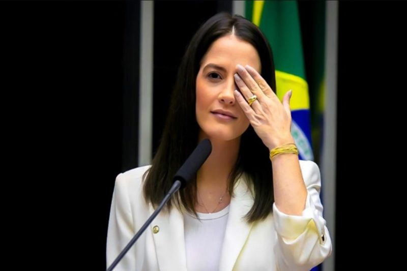 deputada federal amália barros na câmara dos deputados