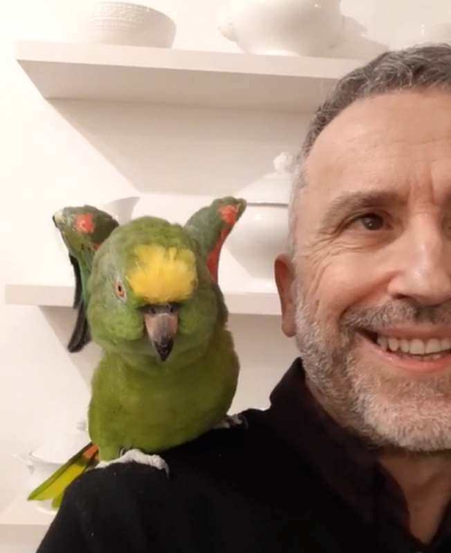 Papagaio encanta ao soltar a voz em ritmos italianos - Foto: Sole The Amazon/Reprodução/ND