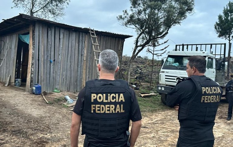 Pf Realiza Buscas Para Apurar Morte De Indígena Em área Sob Disputa No Planalto Norte De Sc 0669