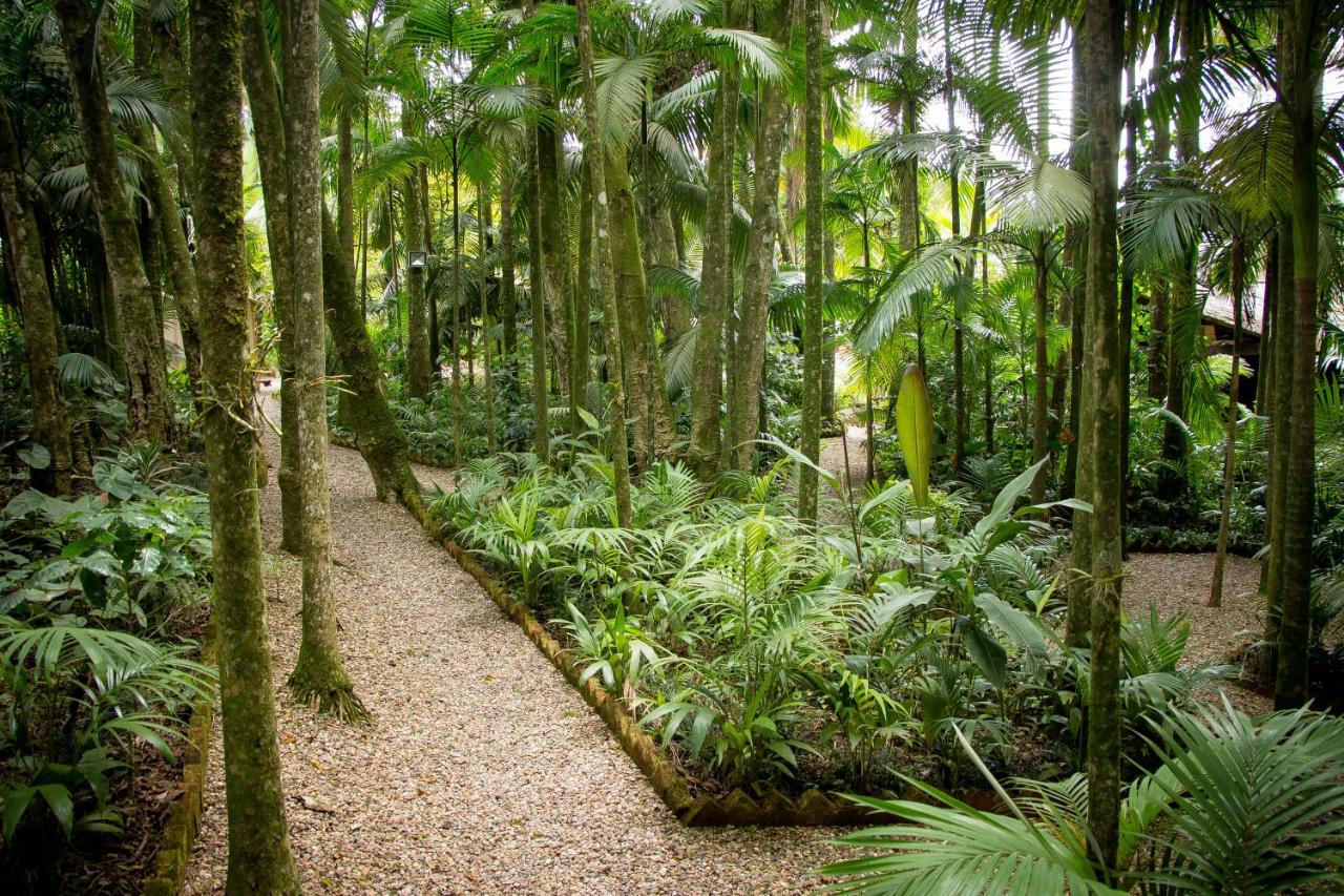 Ao ar livre, há também um bosque com playground para as crianças - Pousada Edelweiss/Reservas/Divulgação