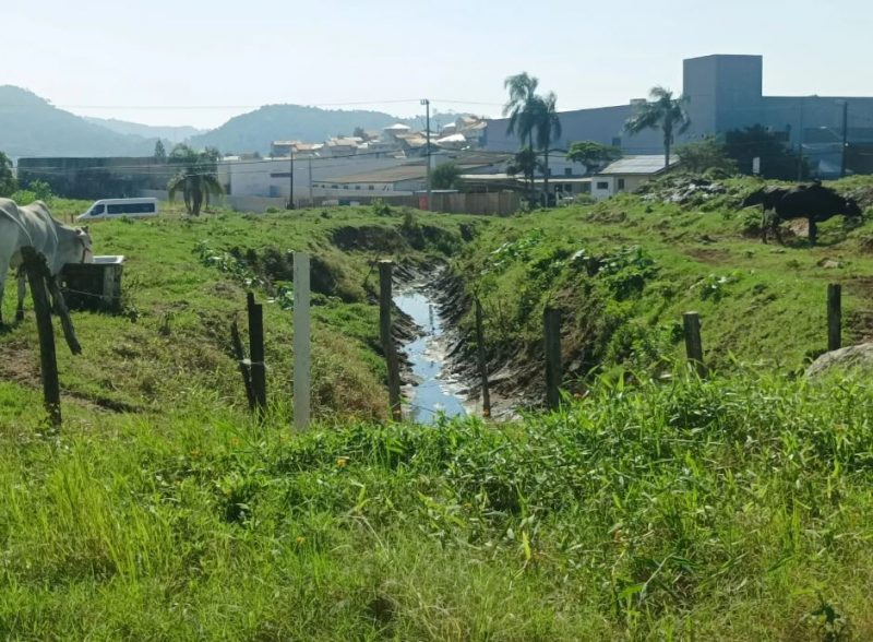 Rios sem limpeza e com acúmulo de resíduos podem resultar em inundações em dias chuva
