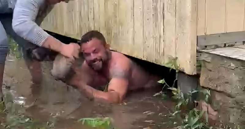 No total, quatro filhotes estavam debaixo de casa