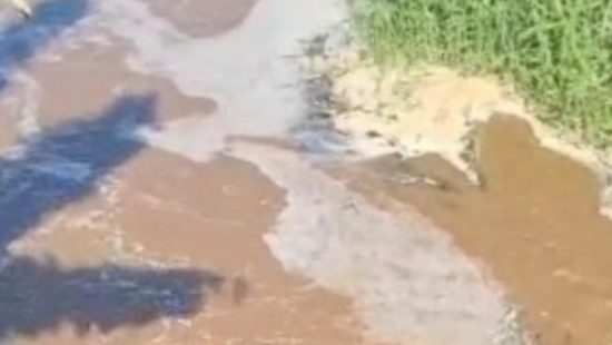 VÍDEO: Moradores denunciam poluição em rio de Florianópolis