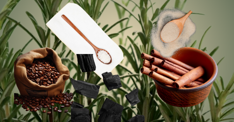 O astr&oacute;logo aponta que todos esses materiais vis&iacute;veis na imagem s&atilde;o perfeitos para rituais para atrair mais clientes – Foto: Freepik/Montagem/Divulga&ccedil;&atilde;o/ND