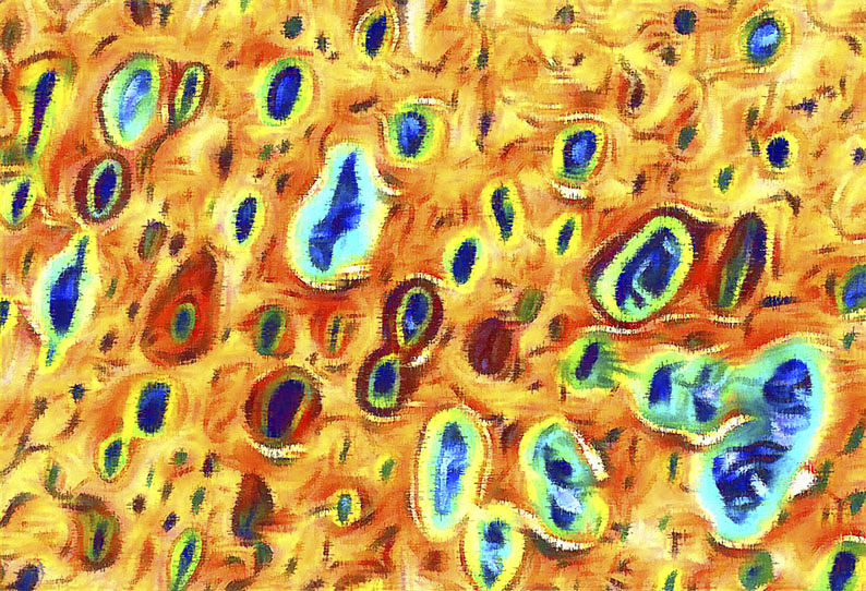 Exposi&ccedil;&atilde;o “Digitalismo: O Centen&aacute;rio do Modernismo no Brasil&rdquo;, do artista visual Cristiano Chaussard, pode ser visitada tanto “fisicamente”, no MIS-SC, quanto virtualmente – Foto: Divulga&ccedil;&atilde;o