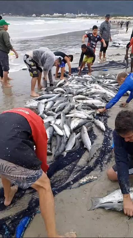 Foto: Divulga&ccedil;&atilde;o/ND