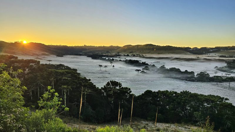 Foto de um campo coberto de geada em São Joaquim. Ao redor dele, árvores e morros verdes. Atrás dos morros, o sol nascendo. O céu está em tons de azul e laranja. 