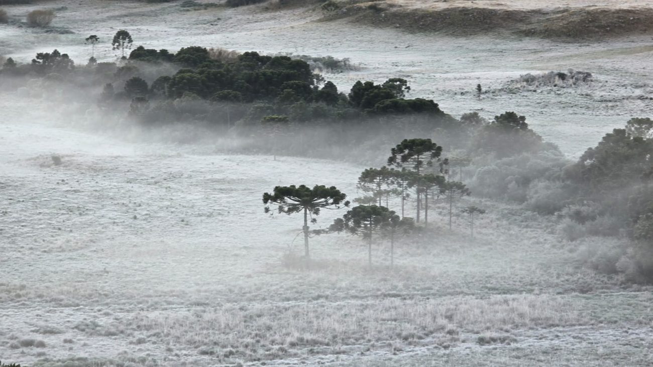 Geada na Serra catarinense deve ocorrer no sábado e no domingo