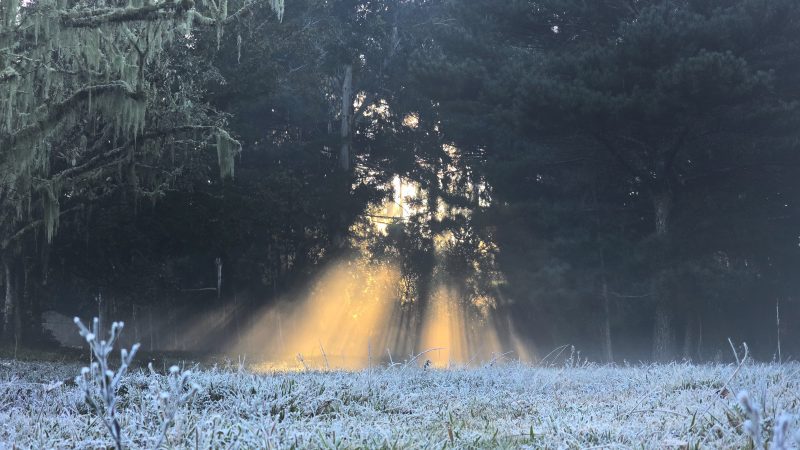 O Vale do Caminhos da Neve em S&atilde;o Joaquim registrou temperatura de -2,8&deg;C, de acordo com o INMET – Foto: Mycchel Legnaghi/S&atilde;o Joaquim Online