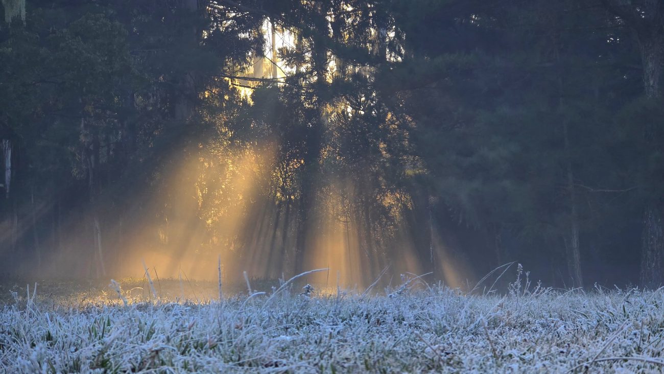 Neve Neve poderá chegar em Santa Catarina nesta semana; veja os detalhes da previsão