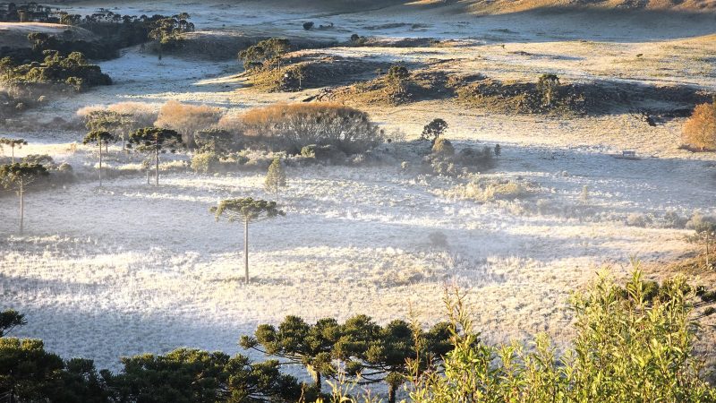 Campo coberto por geada na Serra catarinense