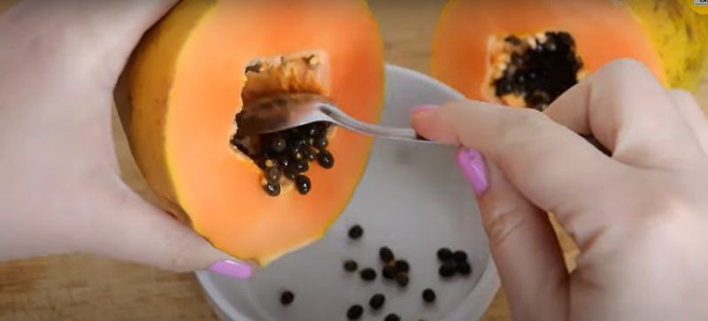 Semente de mamão ajuda a limpar o fígado