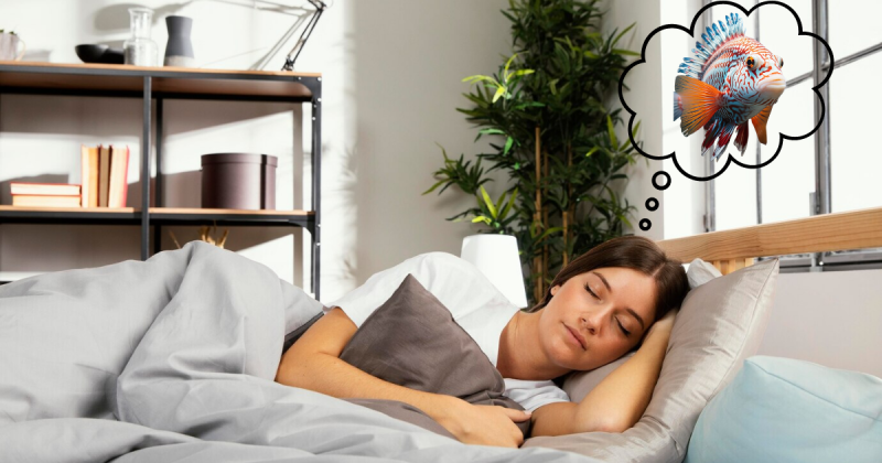 O astr&oacute;logo aponta que sonhar com peixe &eacute; press&aacute;gio de novidades maravilhosas – Foto: Freepik/Montagem/Divulga&ccedil;&atilde;o/ND