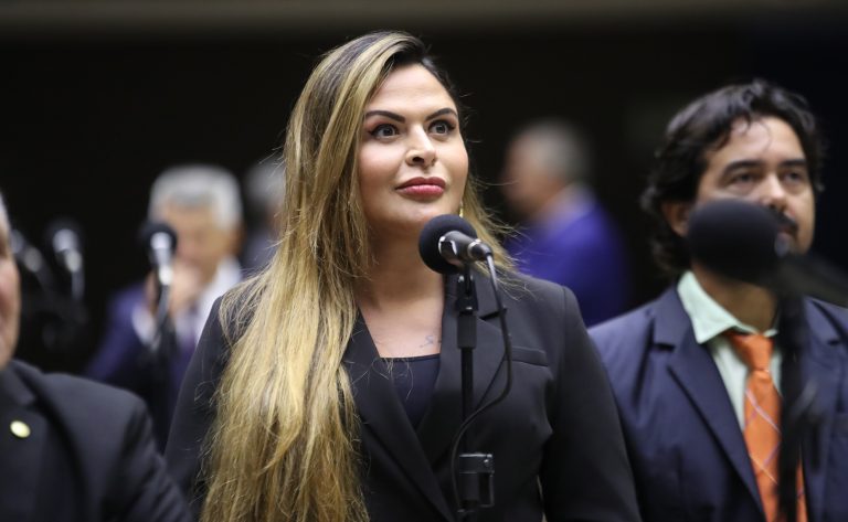 No plen&aacute;rio, deputada federal do Uni&atilde;o Brasil disse que proposta n&atilde;o tem partidos pol&iacute;ticos – Foto: Zeca Ribeiro/C&acirc;mara dos Deputados/Divulga&ccedil;&atilde;o/ND