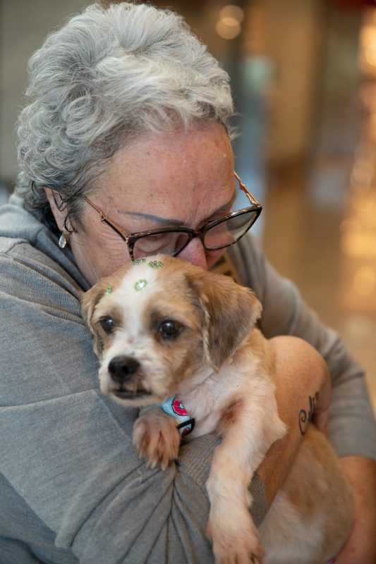 Simara abra&ccedil;a o novo membro da fam&iacute;lia – Foto: Germano Rorato/ND