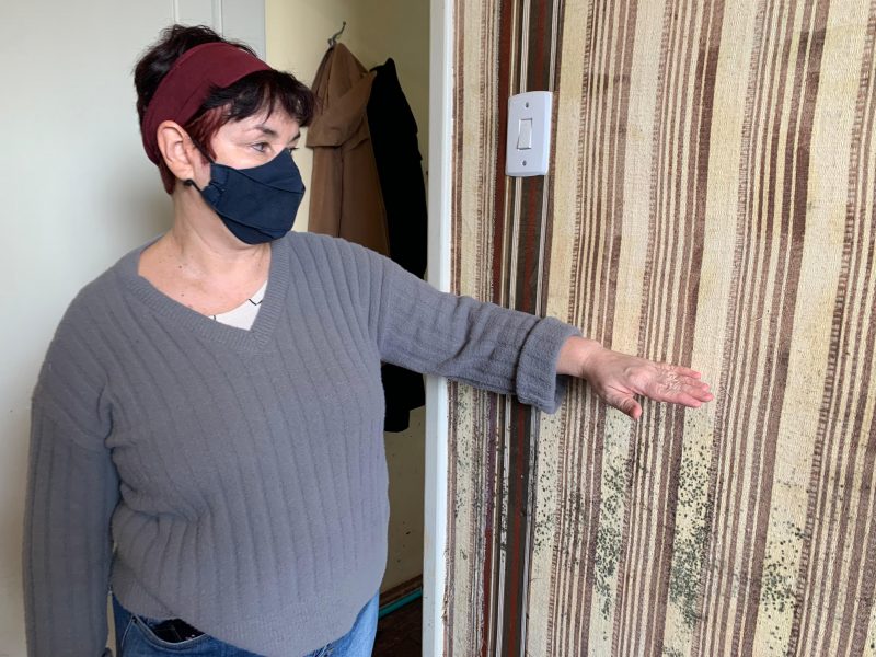 Stella mostra at&eacute; que altura a &aacute;gua chegou dentro de sua casa – Foto: Vivian Leal