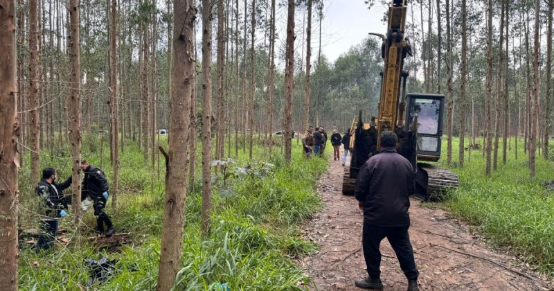 Corpos encontrados podem ter relação com disputa por tráfico de drogas