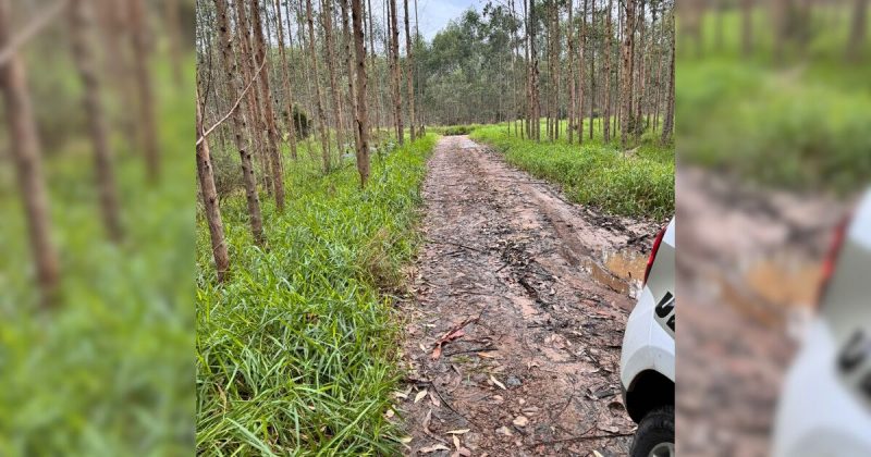 Corpos foram encontrados na comunidade de Fundo Grande