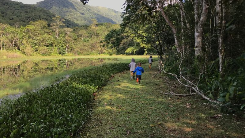 Foto da Trilha das Lagoas, no Parque das Nascentes, em Blumenau. No centro aparecerem três crianças caminhando em um gramado cercado por árvores. Elas estão de costas para a foto. Do lado esquerdo, uma das lagoas. Ao fundo, morros verdes. 