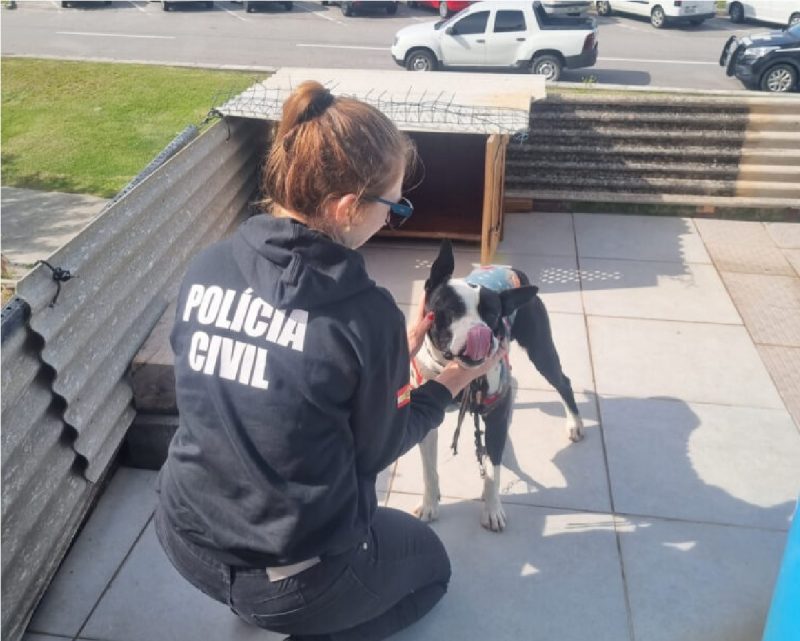 adoção de animais resgatados: policial civil dando carinho para cachorra resgatada 