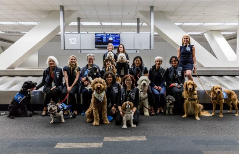 Equipe da Wag Brigade 