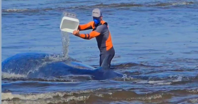 Equipes j&aacute; est&atilde;o avaliando a situa&ccedil;&atilde;o – Foto: @joaobaiukafarol/Reprodu&ccedil;&atilde;o/ND