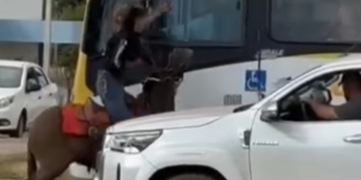 Briga Entre Motorista De ônibus E Homem A Cavalo Veja Vídeo