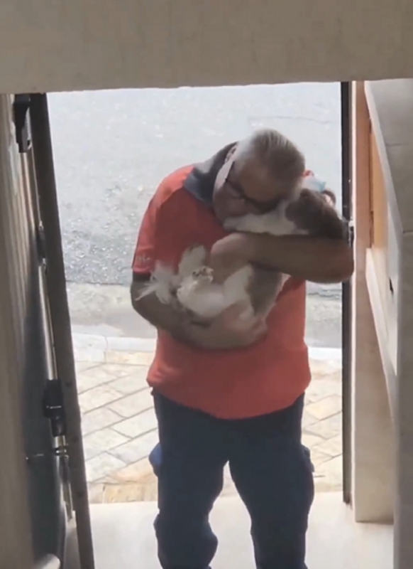 Cachorra sendo abraçada pelo funcionário do pet shop