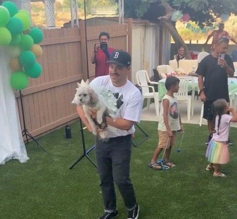 Uma cachorra debutante em sua festa de aniversário especial 