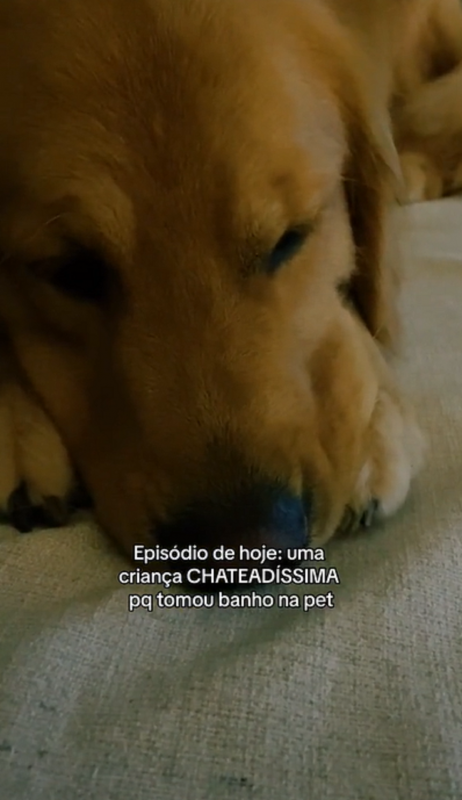 "Duas horas de banho para um dia de ranço", escreve a tutora na legenda