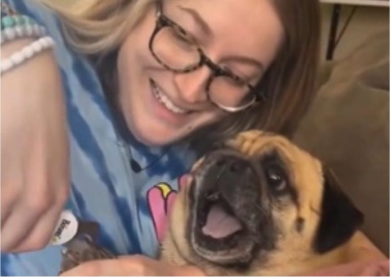 Cachorro dramático faz sucesso nas redes sociais