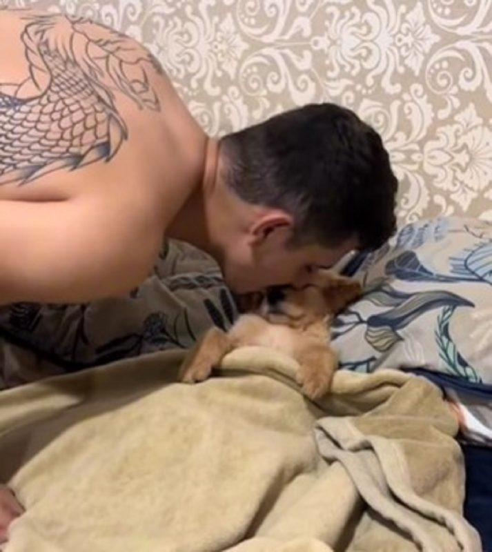 O "cachorro mimado" recebendo beijinhos de boa noite