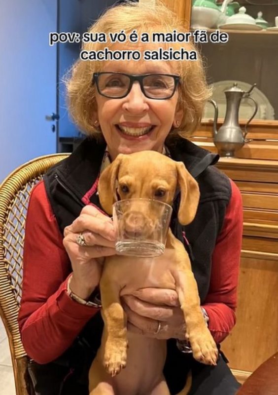 Vovó fã de cachorros salsicha aparece segurando seu pet