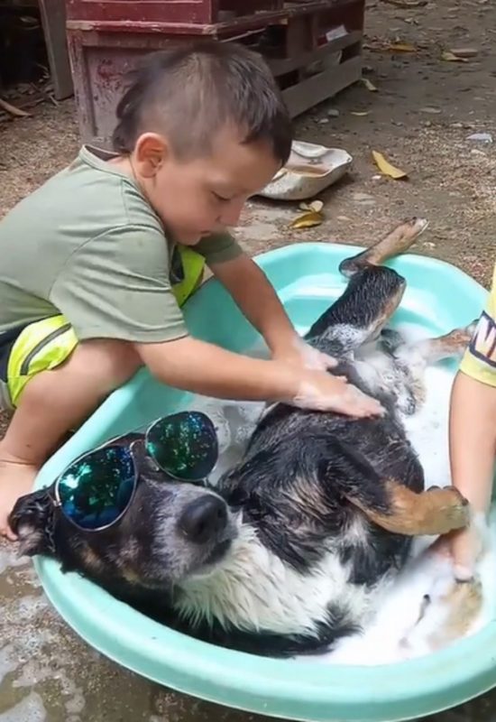 Cachorro ganhando banho diferenciado por duas crianças 