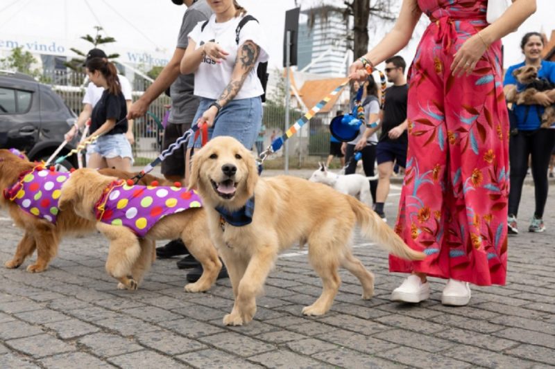 Tutores e animais durante evento em Blumenau