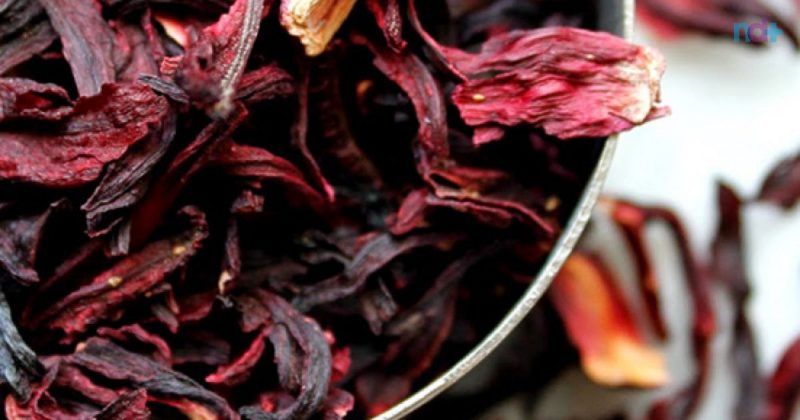 Imagem mostra hibisco seco, erva utilizada em chá para secar o bucho