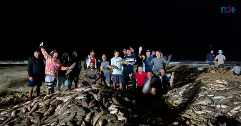 Imagem mostra pescadores com tainhas na Praia do pinho, conhecida por praia de nudismo em SC