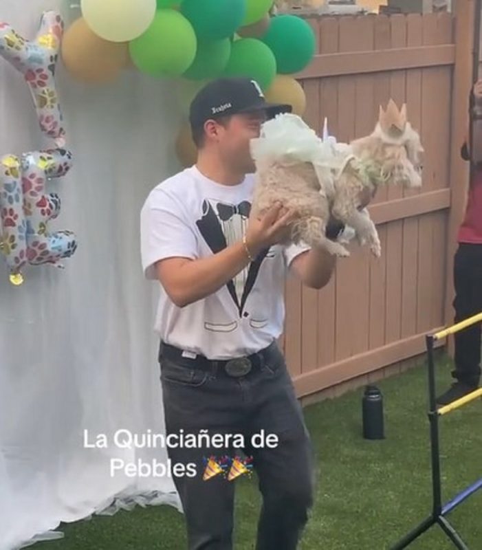 A “cachorra debutante” chegou at&eacute; a bailar com seu tutor – Foto: Internet/Reprodu&ccedil;&atilde;o/ND