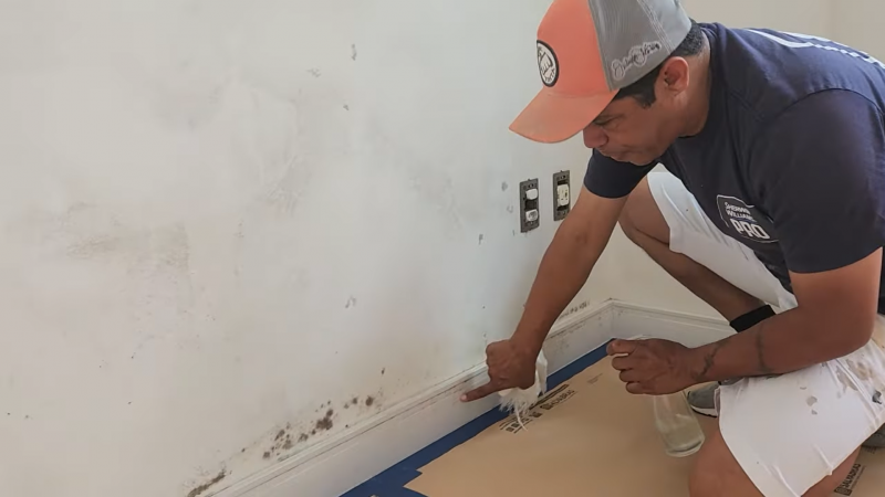 Pintor mostra uma técnica rápida e barata para eliminar mofo na parede - Foto: Reprodução/YouTube