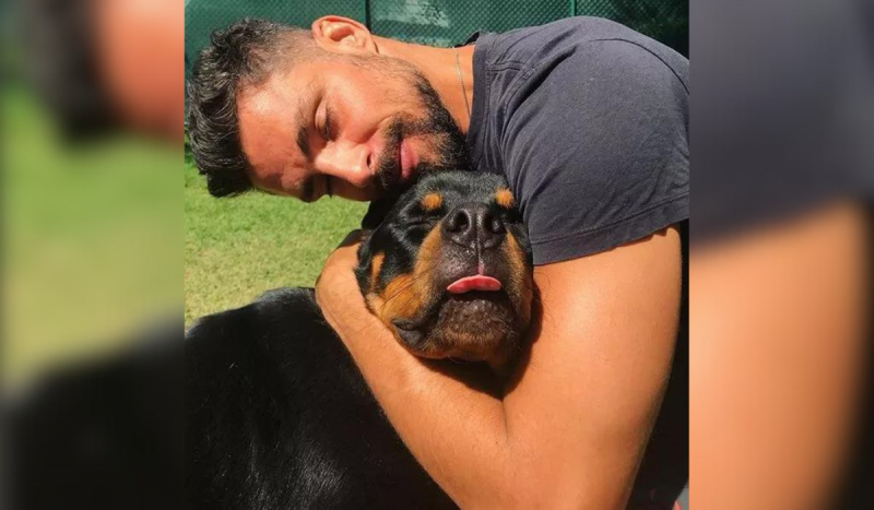 O cachorro Romeu, do ator Cauã Reymond, não resistiu e morreu neste sábado (8); ator suspeita de envenenamento 