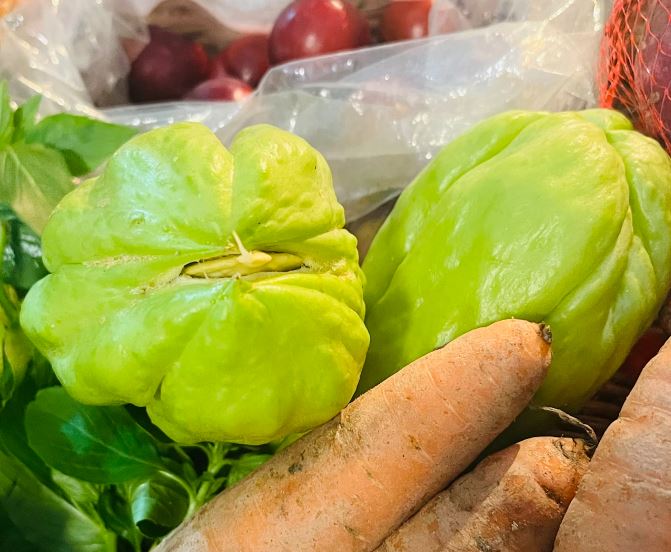 O chuchu além de desinchar barriga, também ajuda na fertilidade