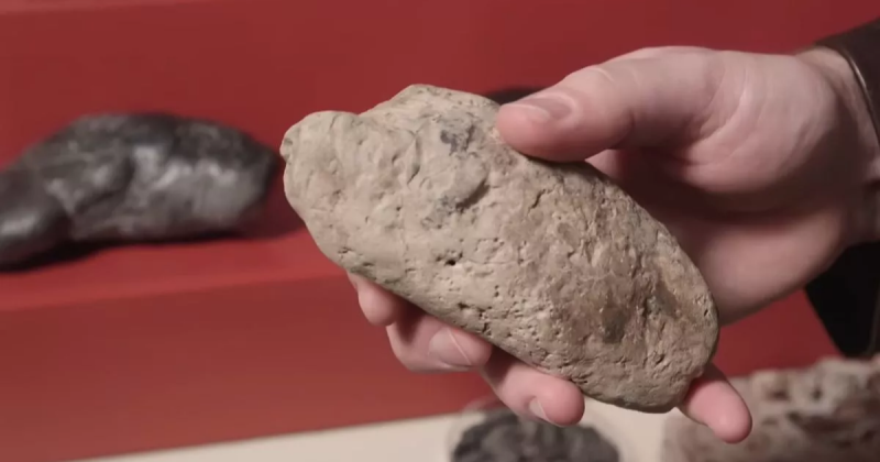 O maior colecionador de fezes no mundo abriu uma exposi&ccedil;&atilde;o de coc&ocirc; em um museu de dinossauros – Foto: Guinness World Records/Youtube/Reprodu&ccedil;&atilde;o/ND