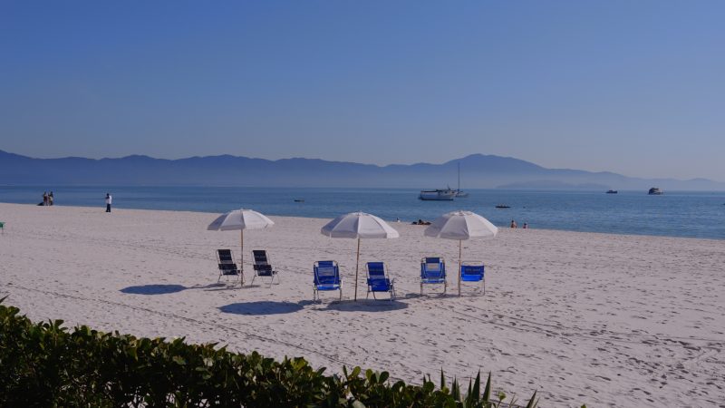 Faixa de areia de praia e ao fundo céu e mar azuis. No canto esquerdo é possível ver arbusto. Imagem traz 3 guarda chuvas protegendo cadeiras na praia para ilustrar matéria sobre PEC das praias