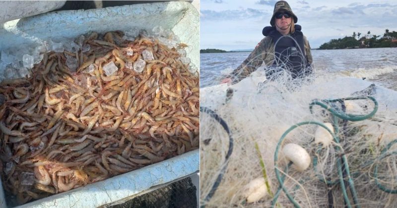 Pescadores são atuados e quilos de camarão apreendidos 