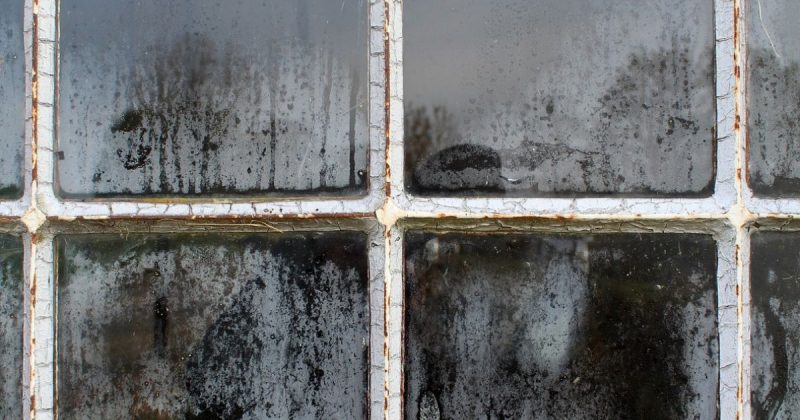 Apreenda como limpar janela com dica simples 