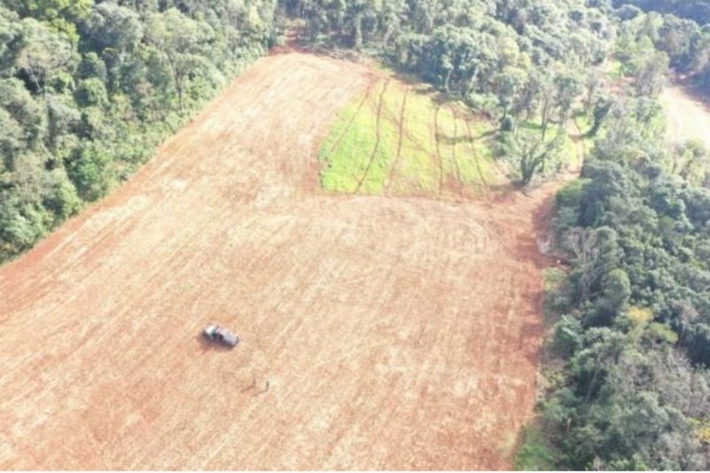Pol&iacute;cia flagrou cerca de seis hectares de &aacute;rea de desmatamento ilegal em Jabor&aacute; – Foto: Pol&iacute;cia Militar Ambiental/Divulga&ccedil;&atilde;o/ND